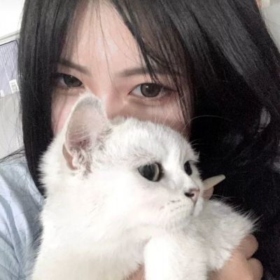 复仇者联萌2破解版下载