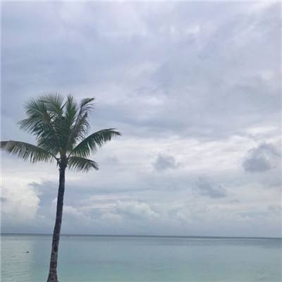 御龙在仙破解版下载