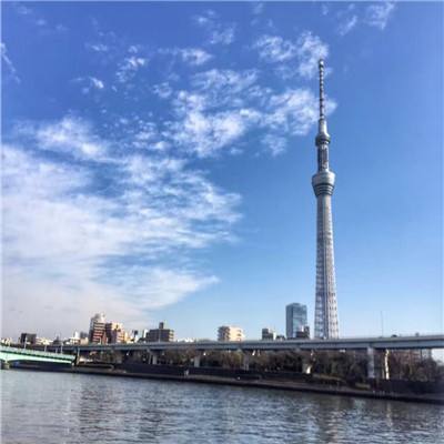 跳跳旅行破解版下载