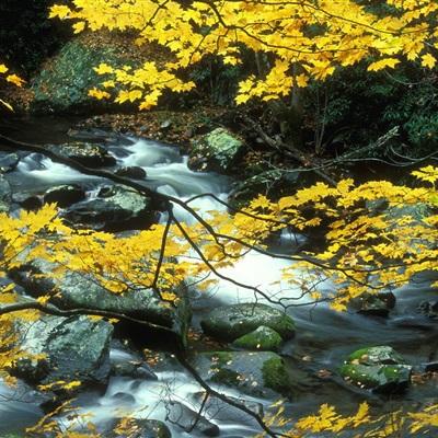 魔域史诗永恒手游下载
